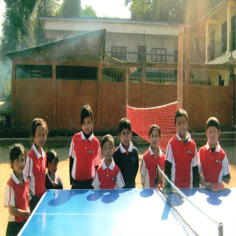 Table Tennis